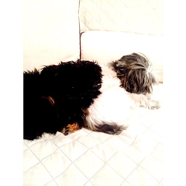 ashleybenson instagram image archive image