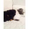 ashleybenson Altpins Profile Picture