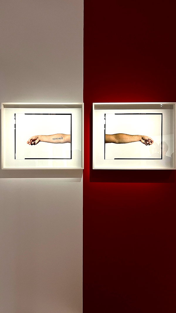 levsave instagram image archive image