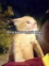 iamm3dusa Altpins Profile Picture