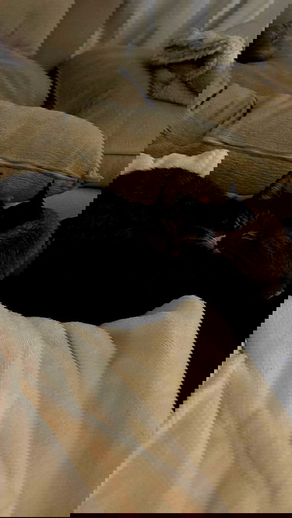 laluzone laluzone archive image