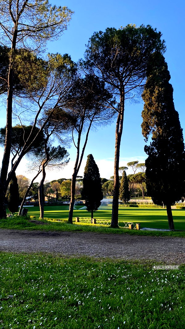 federica.piccinni instagram image archive image