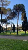 federica.piccinni Altpins Profile Picture