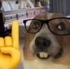 rixiadigivolved Altpins Profile Picture