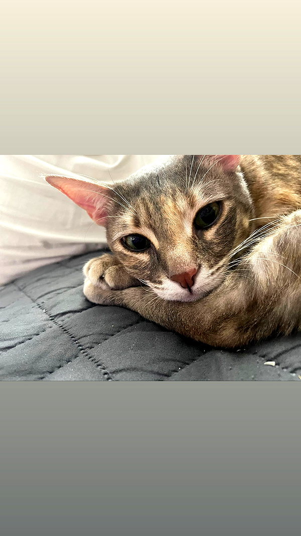 Archived image from @notchicore on Instagram