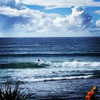 alexandradaddario Altpins Profile Picture