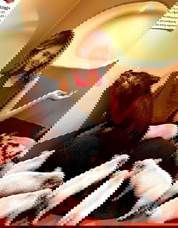 taylor.creeden taylor.creeden archive image