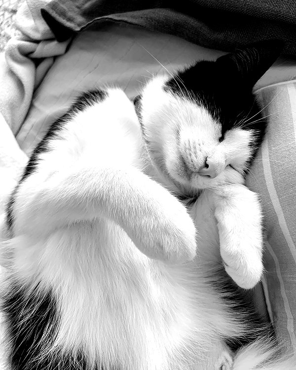 sophiecharlotth instagram image archive image