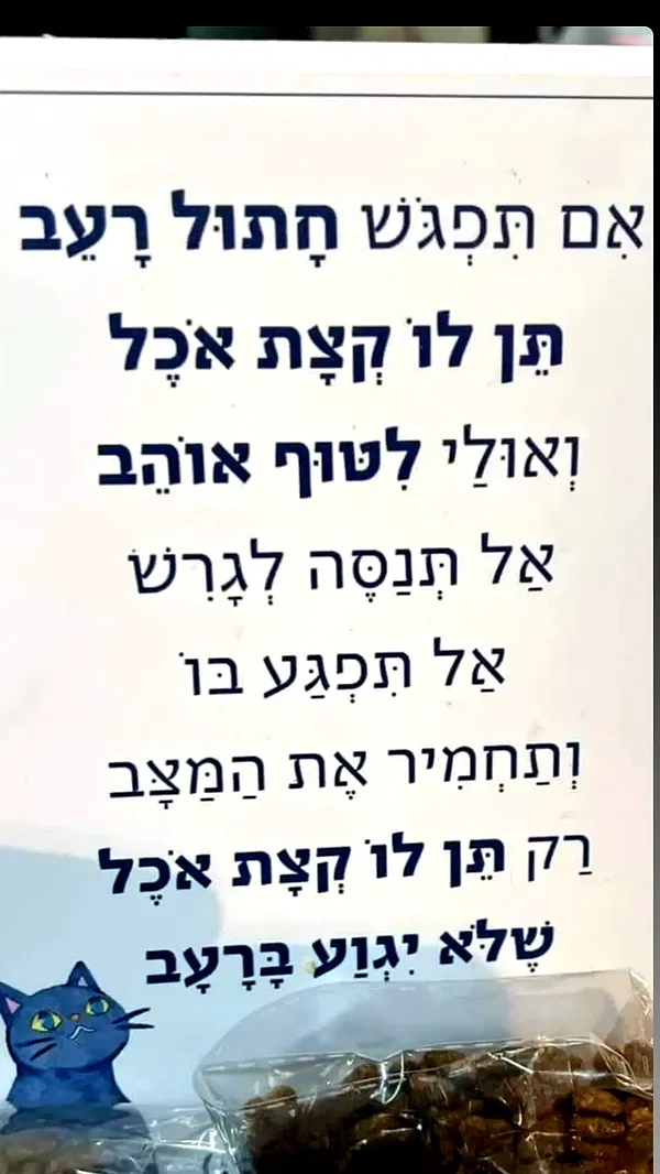 moonyyyya moonyyyya archive image