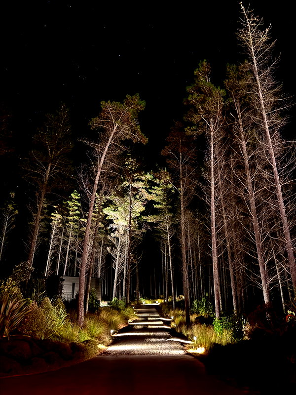 taniatare63 instagram image archive image
