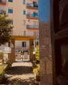 annabottoo Altpins Profile Picture
