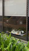 solzarubin_ Altpins Profile Picture