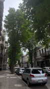orman.mariee Altpins Profile Picture