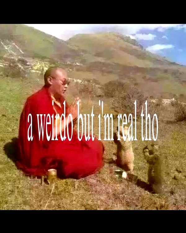leanbeefpatty instagram image archive image