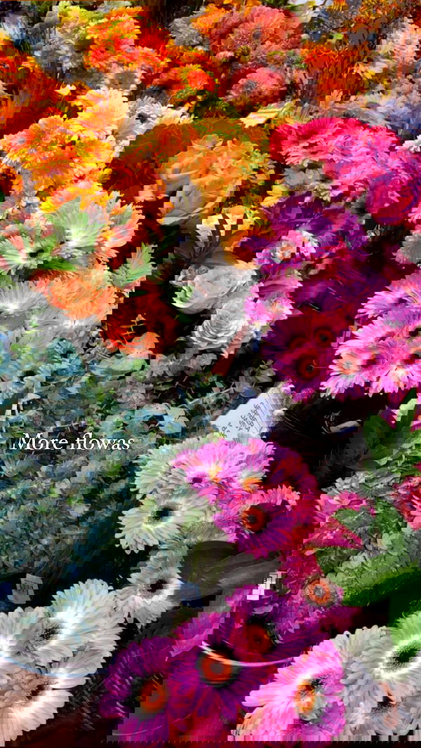 taylor.creeden taylor.creeden archive image