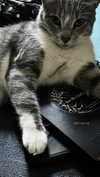 ker888nyz Altpins Profile Picture