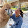 kafelnikova_a Altpins Profile Picture