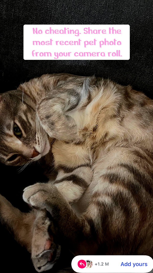 Archived image from @notchicore on Instagram