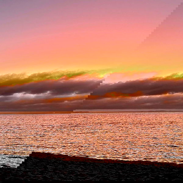 jtilb2 image ~ Altpins