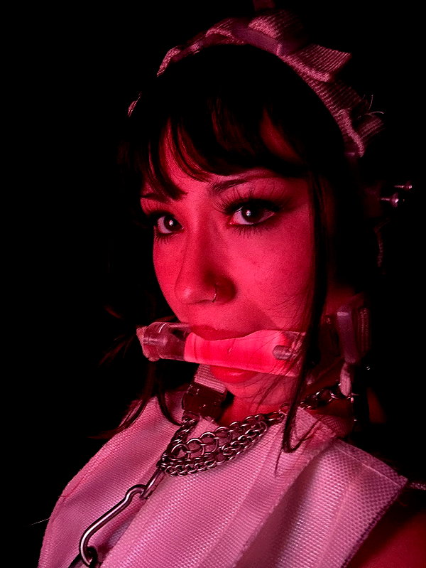 kyliekochii kyliekochii archive image
