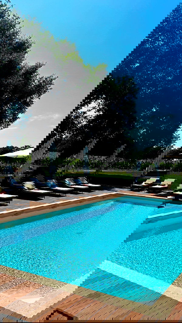 taylor.creeden taylor.creeden archive image