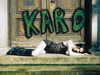 karolinaawasik Altpins Profile Picture