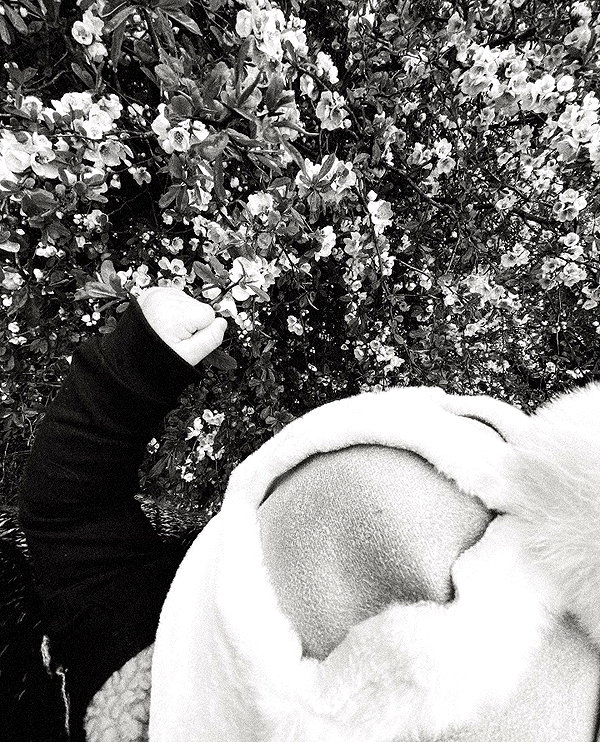 gigihadid instagram image archive image