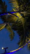 veroni22ka Altpins Profile Picture