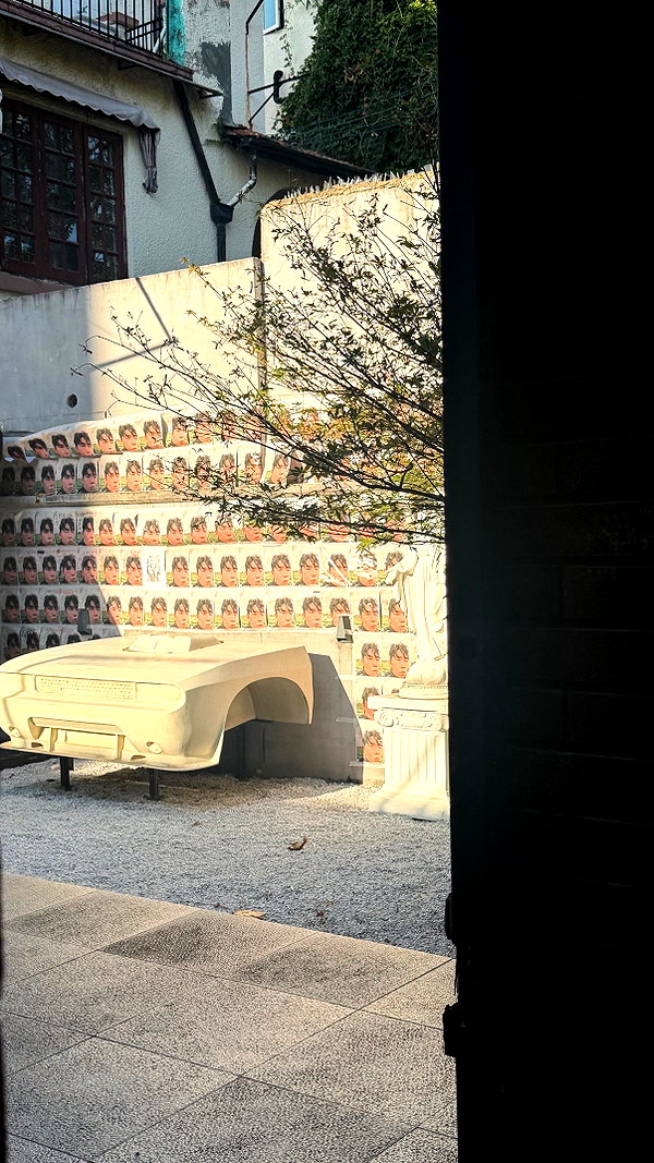 llinolinaa archive image