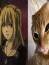 catl0verr69 Altpins Profile Picture