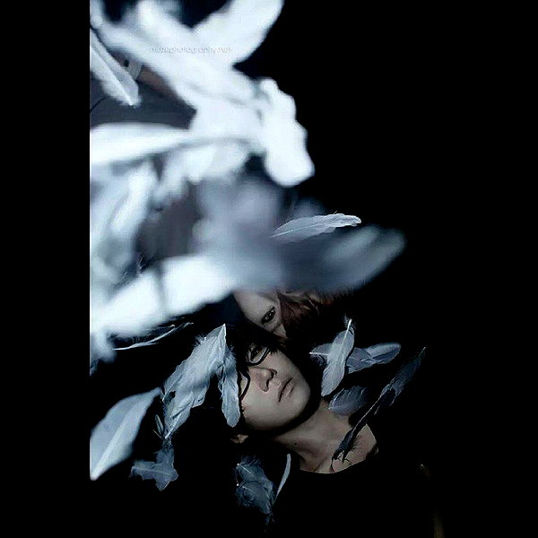 muze instagram image archive image