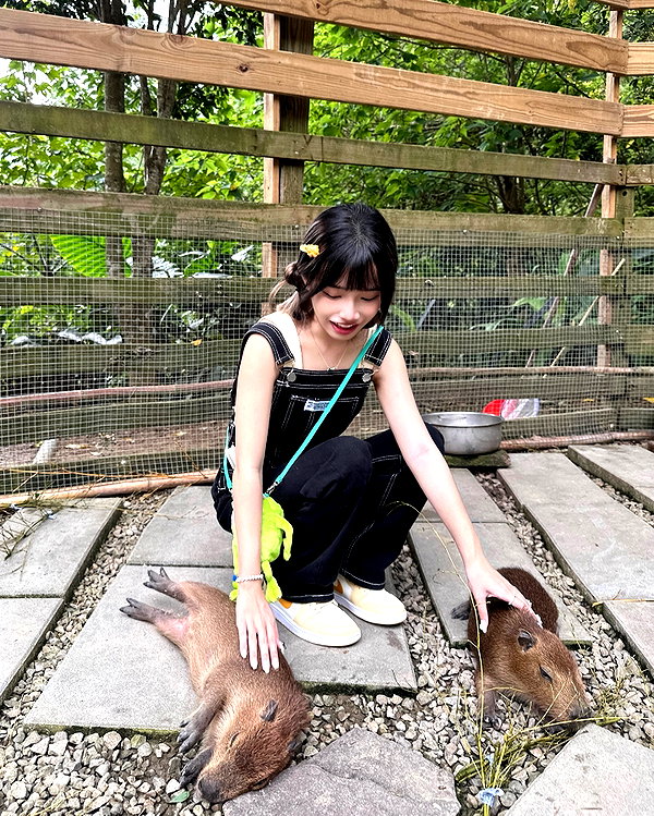 ____sy.02 instagram image archive image