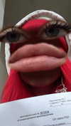 vik4au Altpins Profile Picture