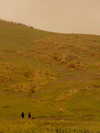 hadas_mayer_ Altpins Profile Picture