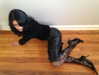oliviiaa.rose Altpins Profile Picture