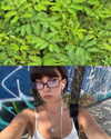 gabydayan Altpins Profile Picture