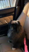 katrina.zaiceva Altpins Profile Picture