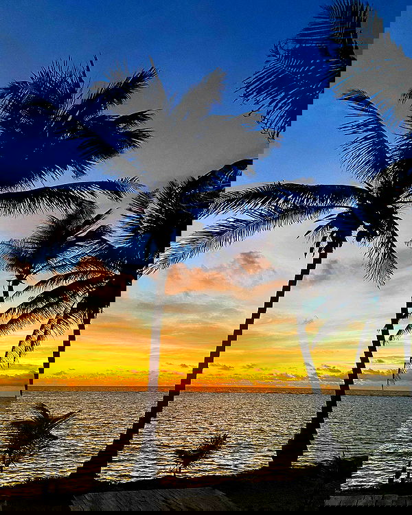 manjolamuriqi manjolamuriqi archive image