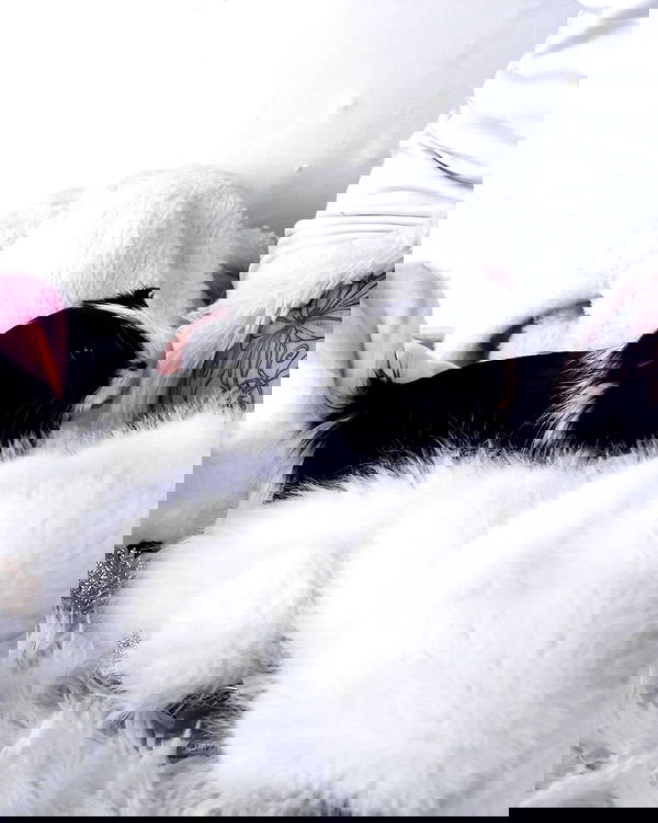 naia_gg naia_gg archive image