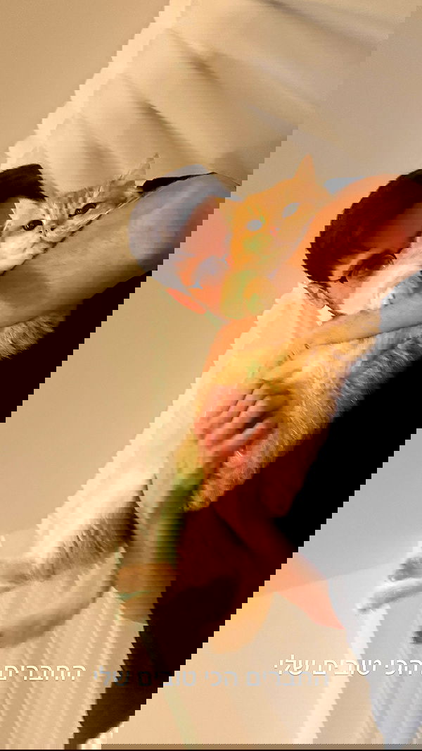 itsilanosh itsilanosh archive image