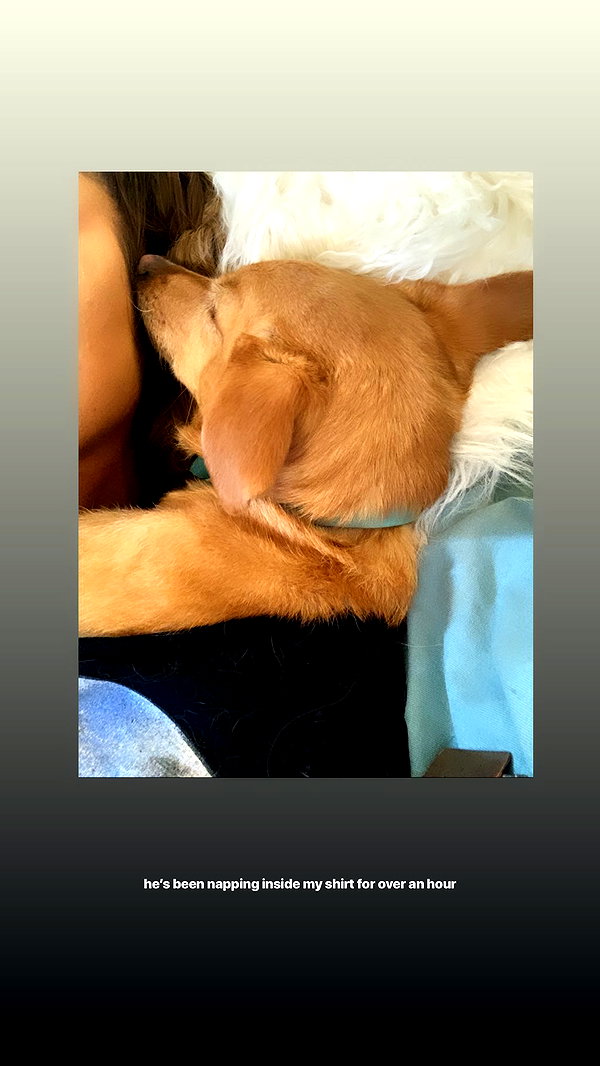 arianagrande instagram image archive image