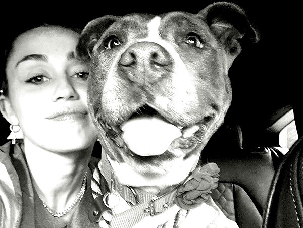 mileycyrus instagram image archive image