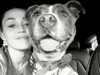 mileycyrus Altpins Profile Picture