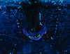 billieeilish Altpins Profile Picture