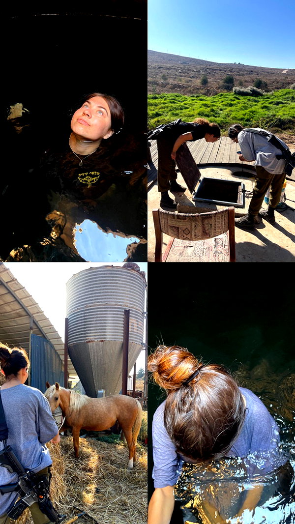 v.e.r.o._.n.i.c.a instagram image archive image