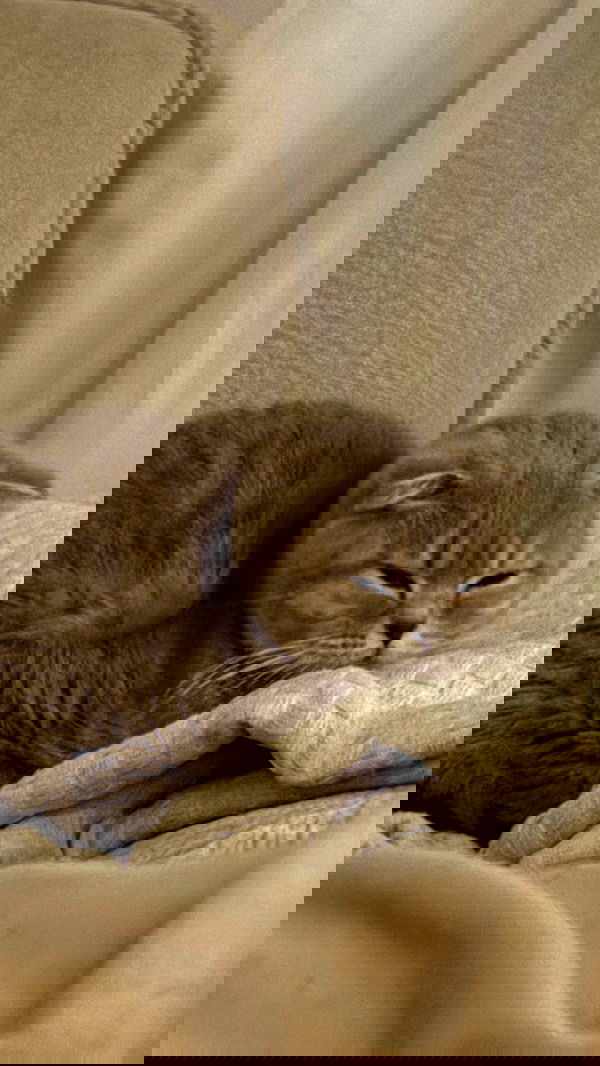 laluzone laluzone archive image