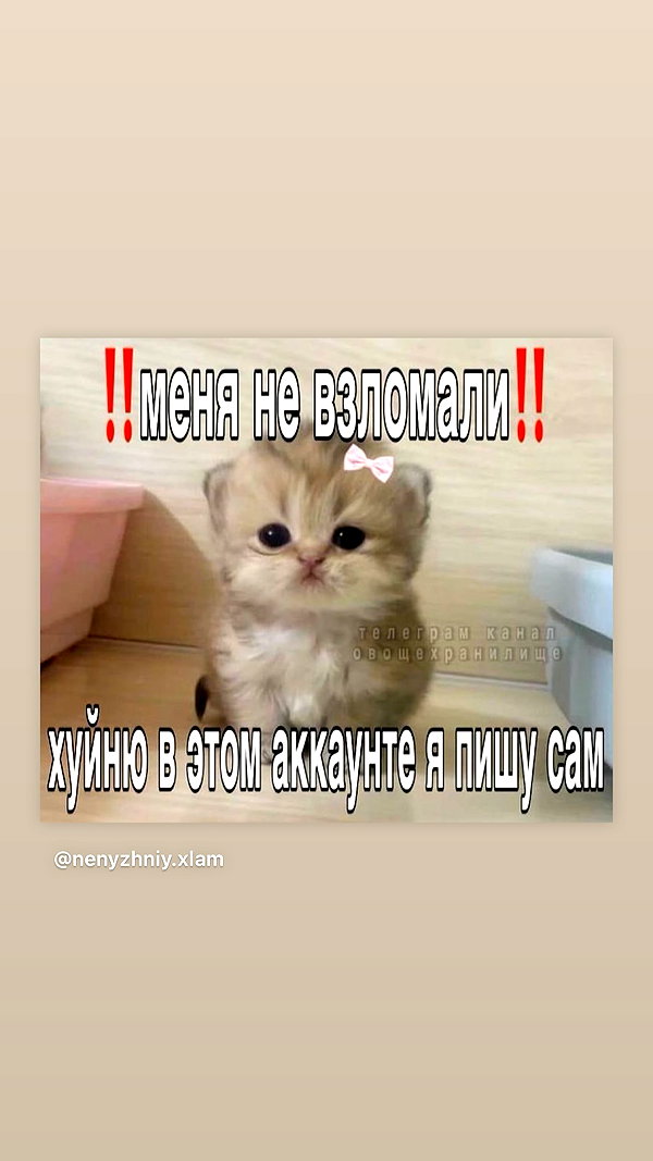 daryanedarya instagram image archive image