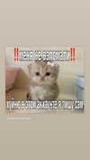 daryanedarya Altpins Profile Picture