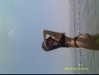 aviyabrami_ Altpins Profile Picture