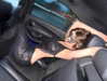 gritsa.k Altpins Profile Picture